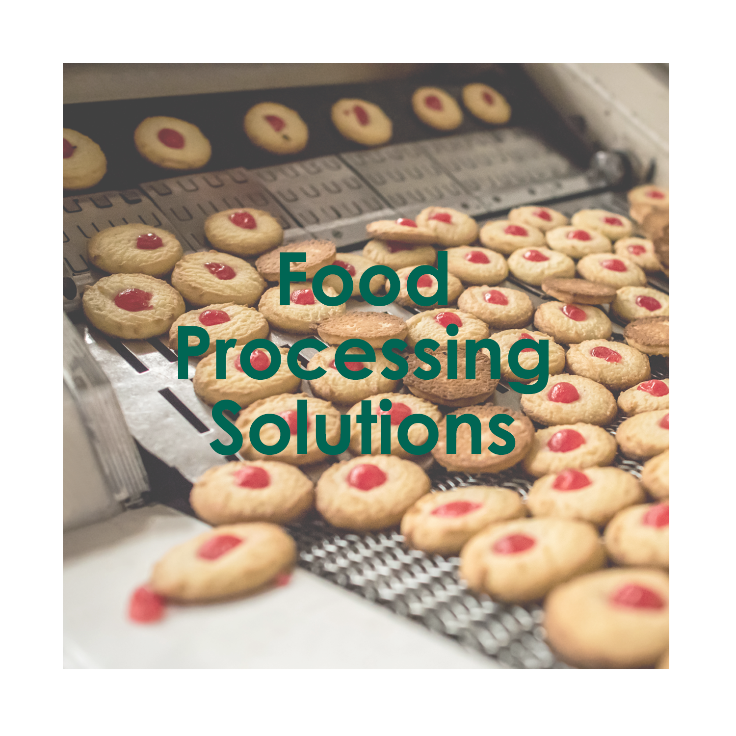 Food Processing Solutions