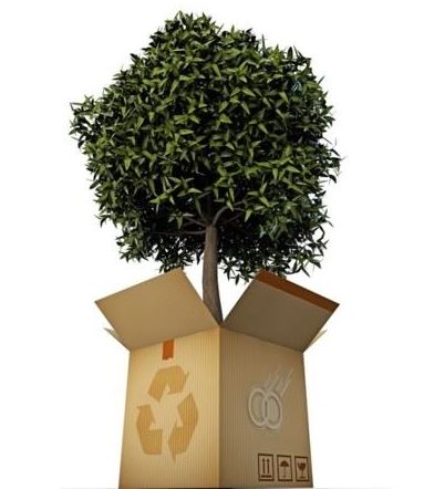 sustainability trends