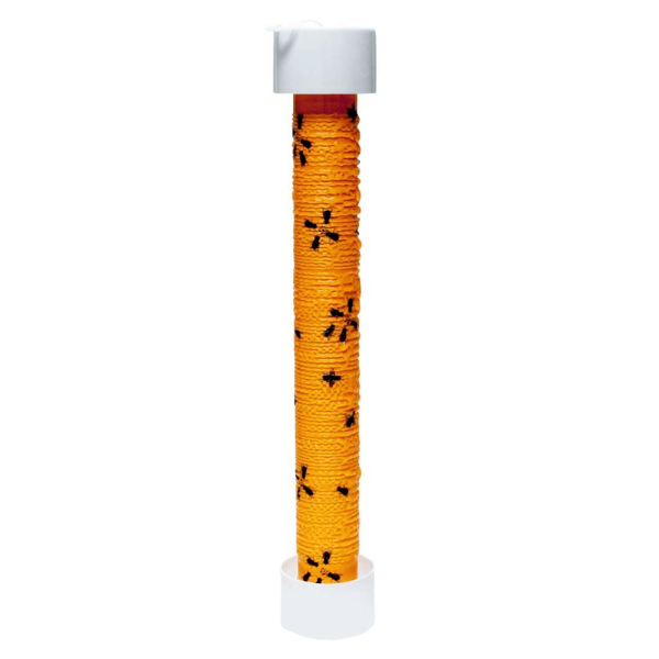 MUSCA 24" FLY STICK 24/CS